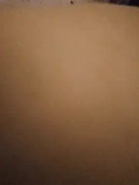 XXX chat uživo modela Almas-arabic