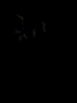 Jackdick1313 라이브 XXX 채팅