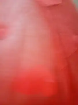 XXX chat uživo modela chaparritahot99