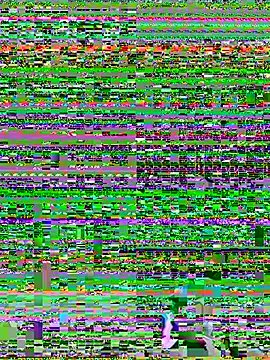 ChefD_'s Live XXX Chat