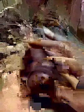 Show de webcam de Godle