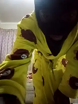 Tbangs_n Webbikameraesitys