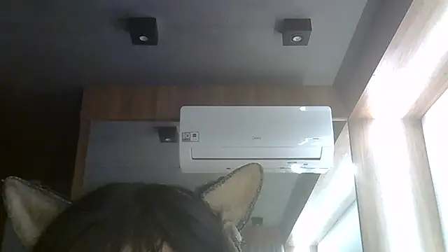 Chat +18 de SkinnyKitten ao vivo