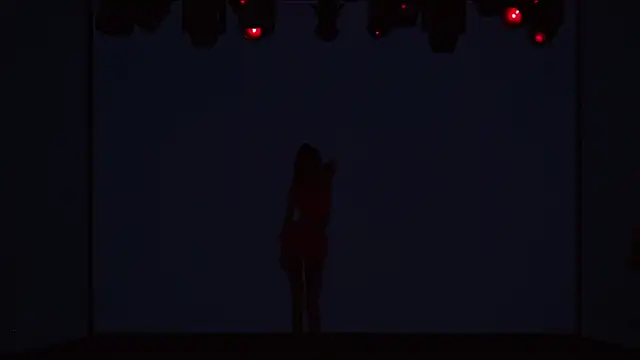 צ'אט XXX בשידור חי של IG-001