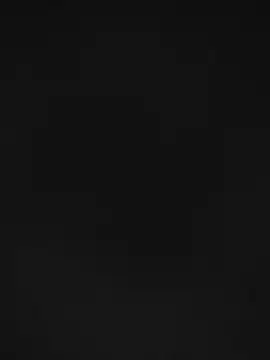 vasseke Live XXX-chat