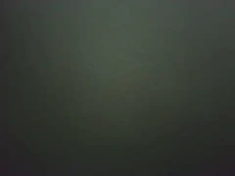 tatingordin Шоу с уебкамера