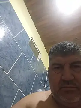 عرض كام tatingordin