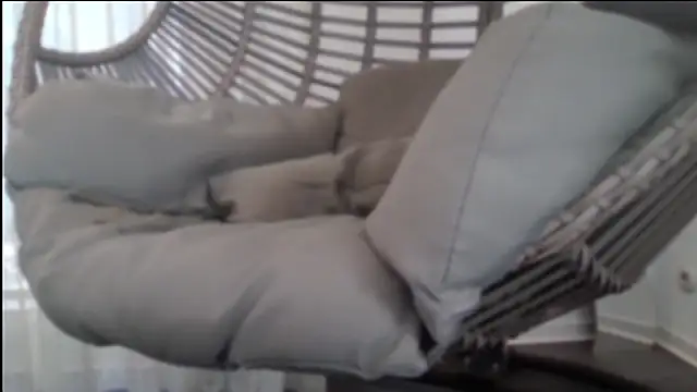 bull419M Chat XXX live