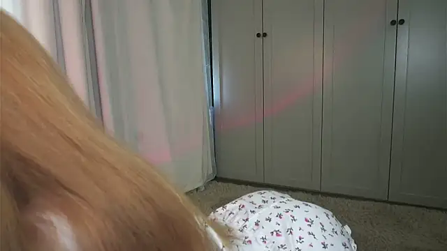 แชท XXX สดของ tgirlfoxy