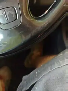 WadedGuzzling Show Webcam