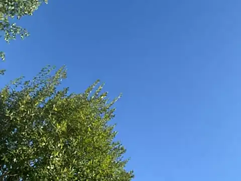 Gipsyboysteve Chat XXX live