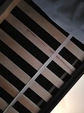 Roddog18 webkamerás műsora
