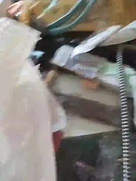 TaraWild Webcam show