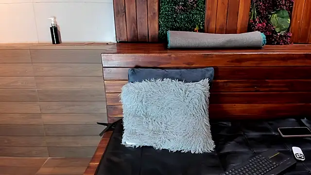 FedeVialen Webbikameraesitys