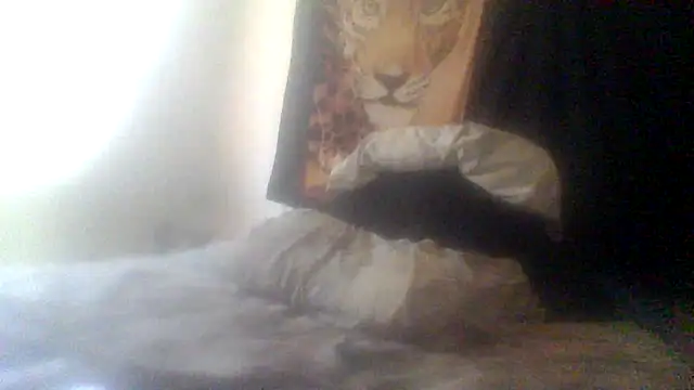 Chatroom XXX en direct de ThrowedWorldWide