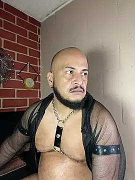 عرض كام the_master_foal_