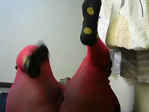 צ'אט XXX בשידור חי של Horny_Larry
