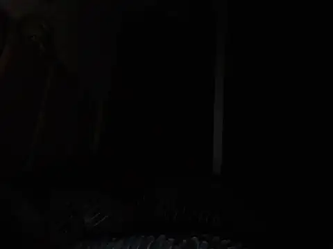 sexyaime's Live XXX Chat