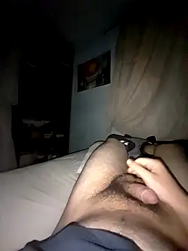 Chneor28n Webbikameraesitys