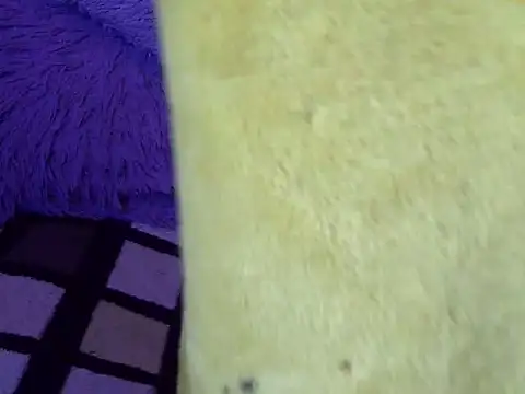 pamelasophia19 웹캠 쇼