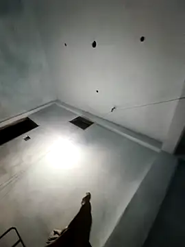 Vikas___12345n Webbikameraesitys