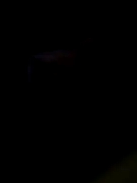 JoeyUhOhのライブXXXチャット