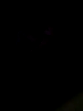 Вебкам-шоу JoeyUhOh