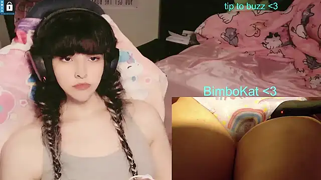 BimboCat: διαδικτυακό σόου στην κάμερα