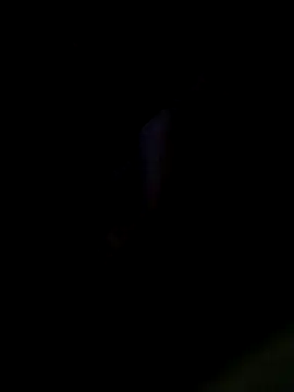 JoeyUhOh 웹캠 쇼