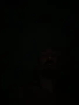 Adoro99 网络视讯表演