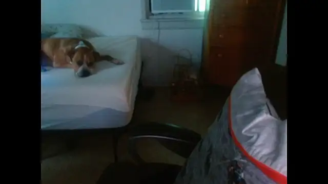 DADDY_KANE8--- 라이브 XXX 채팅