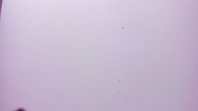Онлайн чат XXX velvet_girll