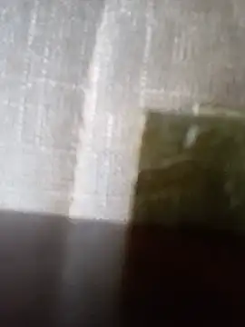 ColdVisitor's Live XXX Chat