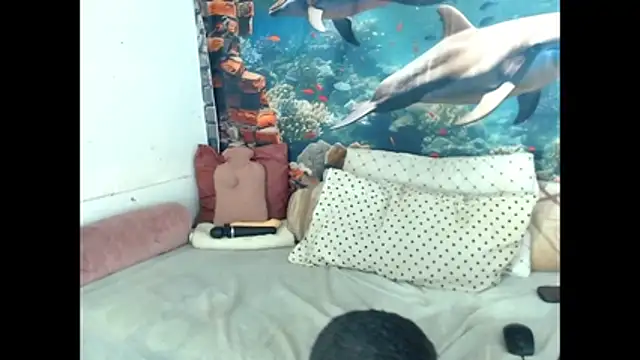 Онлайн чат XXX AfricanBarbiee69