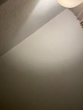 Cherry-Beanのウェブカメラショー