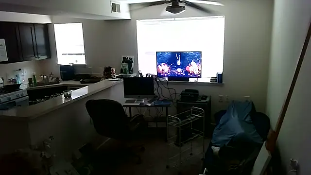 Q1357q Webcam Show