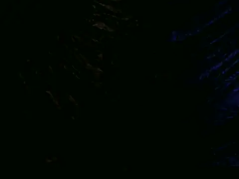 Nai_henta1 Show in webcam