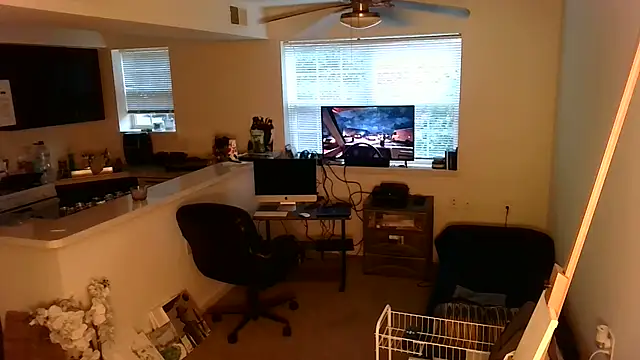 Q1357q Webcam show