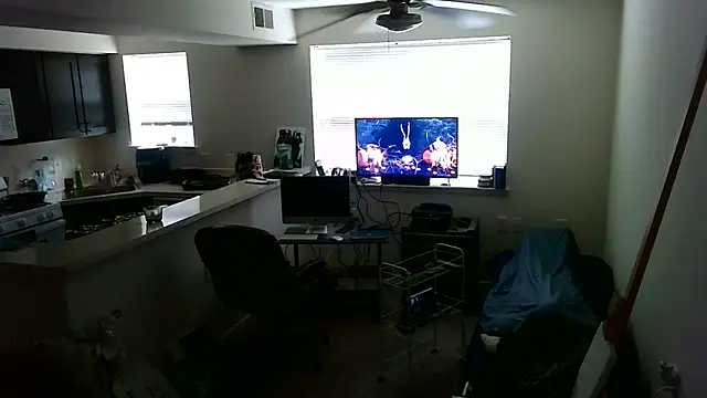Q1357q Webcam show