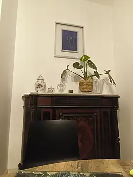 Lambe91 Webcam show