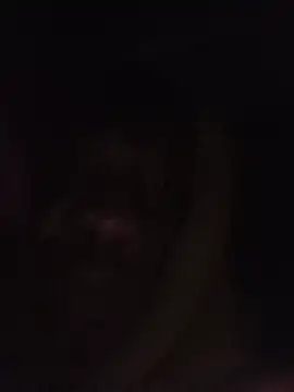Sexxoophone Webcam show