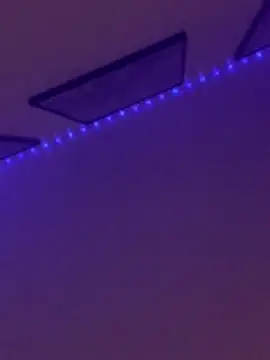 Mbabby0 Webcam Show