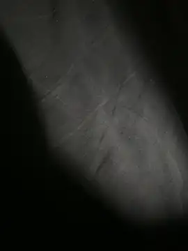 albertinohot1's Live XXX Chat