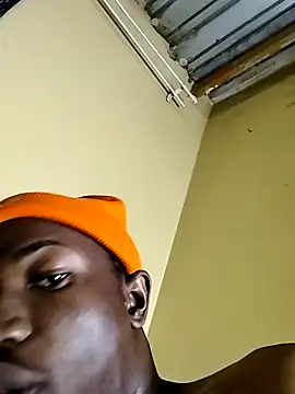 Breezyvikkyn Webbikameraesitys