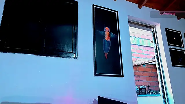 SilvaBranko Chat XXX live