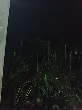 Hiptonos 라이브 XXX 채팅