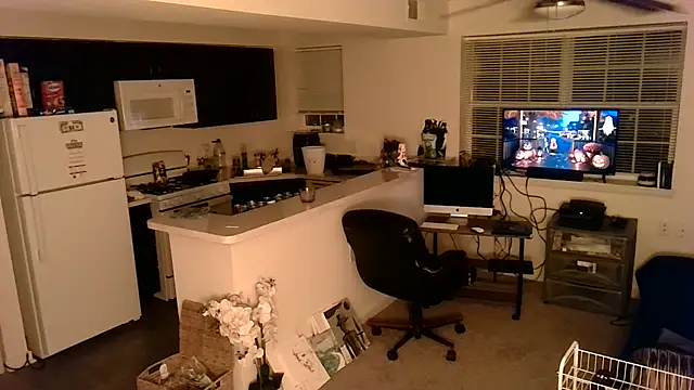 Show de Q1357q na webcam