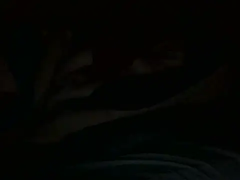 Scate élő XXX-chatje