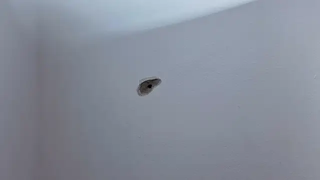 Živý XXX chat Sofiaa_Bloom