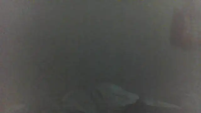 cobrosdepagos' Live XXX Chat